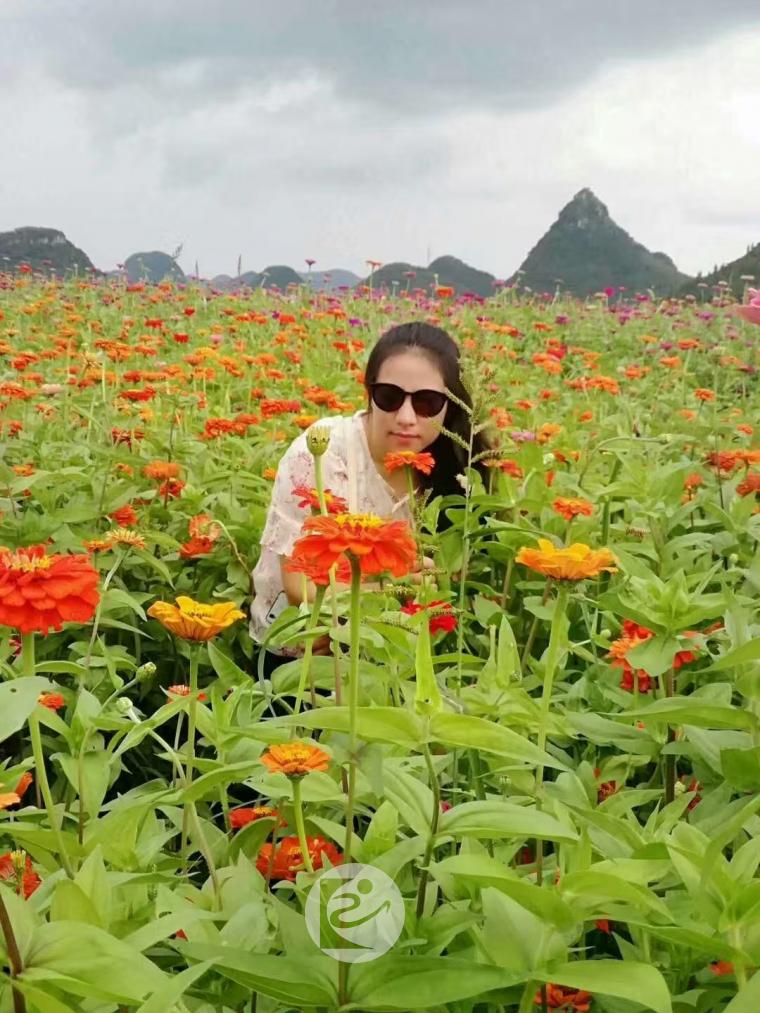 351号 万丽 审计部.jpg